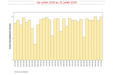 Durées d'insolation quotidienne à Pamandzi - juillet 2024